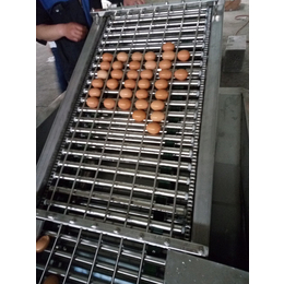 杨陵区剥皮鸡蛋蒸煮设备图片「多图」