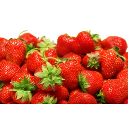 扬州草莓立体种植槽-PVC草莓槽-新品上市-库存清仓