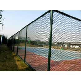 安平县球场围栏网-球场围栏网-航拓丝网