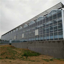 金盟温室(在线咨询),玻璃大棚,玻璃大棚多少钱