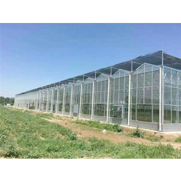 玻璃温室-青州瀚洋农业-玻璃温室效果图