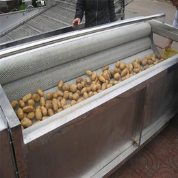 黑土豆清洗机去皮设备、四平黑土豆清洗机、诸城佳旭机械