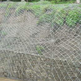 河北欧洛供应主动边坡防护网 被动边坡防护网