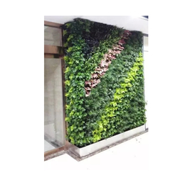 室内植物租赁|金台路植物租赁|北京林昊欣达花卉缩略图