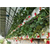 丹东PVC草莓种植槽-3层草莓栽培槽-厂家今日价格缩略图4