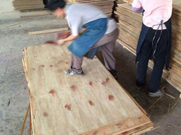 建筑木模板价位-南阳建筑木模板-恒顺达木业