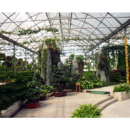 蔬菜温室大棚|安徽温室大棚|合肥建野温室大棚