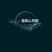 沧州市蓝鲸信息技术有限公司