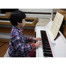 福州天籁之音琴行(图),福州钢琴培训中心,福州钢琴培训