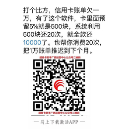 智能还款代还、盛卡通科技(在线咨询)、泉州智能还款