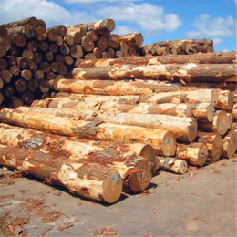 恒豪木材加工(图)、辐射松工程木方、工程木方