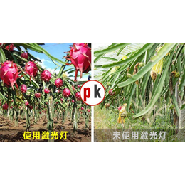 海北补光灯|【激光植物生长灯】|植物生长补光灯