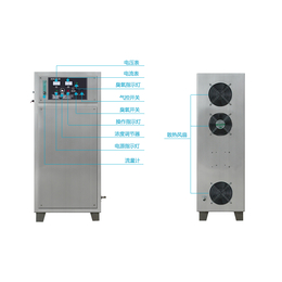 饮料用水消毒灭菌氧气源30g臭氧发生器