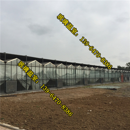 南京玻璃温室造价(图)、常州玻璃温室、玻璃温室