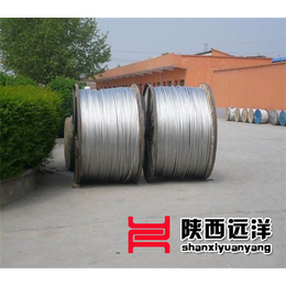 远洋电线电缆(图)-陕西钢芯铝绞线厂家-钢芯铝绞线