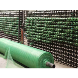 工地绿色盖土网-黄石绿色盖土网-巨东化纤绳网定制加工