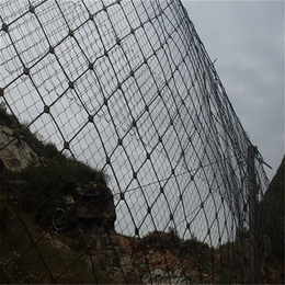 被动防护网,斜坡碎石防护网,被动防护网施工