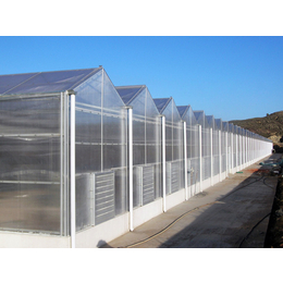合肥阳光板温室-合肥建野温室工程-阳光板温室价格