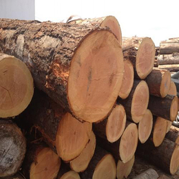 国鲁工贸(在线咨询),木材加工,铁杉木材加工