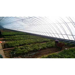 青州温室|青州鑫华生态农业|玻璃温室