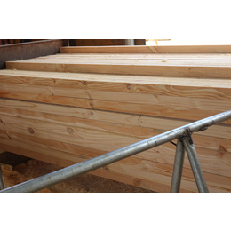 白松建筑方木供应|白松建筑方木|武林木材加工厂