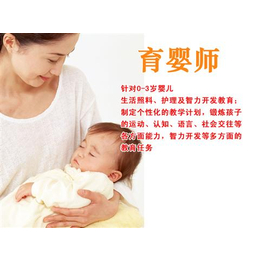 惠州*育婴师培训 育婴师公司 育婴师培训班 来拓普学院