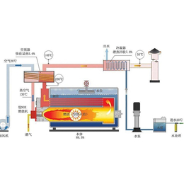 燃气锅炉厂家|秦皇岛燃气锅炉|德昌锅炉(查看)