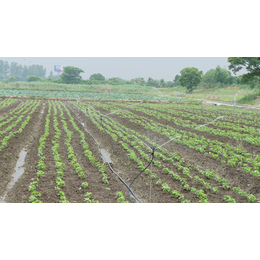 欣农科技(图)、农业滴灌系统优势、武汉农业滴灌系统
