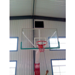冀中体育公司(图)|广场用遥控液压篮球架|凉山液压篮球架