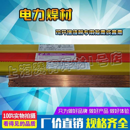 上海电力PP-A002不锈钢焊条含税运