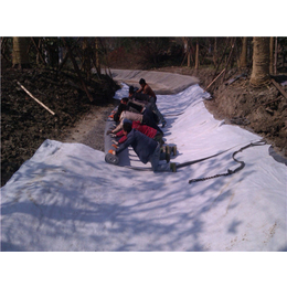 膨润土防水毯搭接-唐能(图)-膨润土防水毯搭接工艺