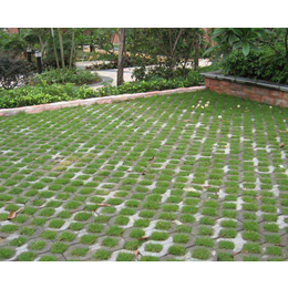合肥万裕久(图)|多孔植草砖|合肥植草砖