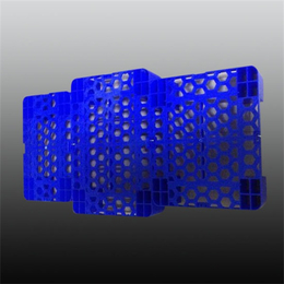 轻型塑料托盘、九州盛兴(在线咨询)、天津塑料托盘