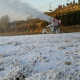   山东造雪机厂家 人工造雪机每小时造雪量30-90立方米