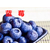 蓝莓树苗基地_鄂州蓝莓树苗_果树苗木供应缩略图1