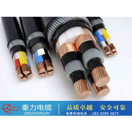 陕西电缆厂(图)、电力电缆厂家、汉中电力电缆