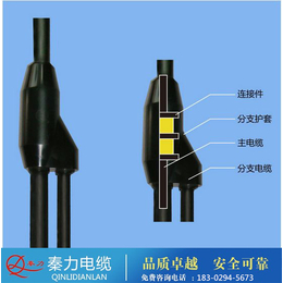 预分支电缆生产_汉中预分支电缆_陕西电缆厂