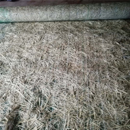 辽宁生产矿山* 生态*绿化 椰丝毯 环保草毯 椰丝植被毯 