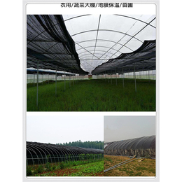 河南煤场盖土网  遮阳网 防尘网 安全网草坪网厂家