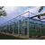 pc板温室大棚建设厂家-安康pc板温室大棚-鑫凯农业安全可靠缩略图1