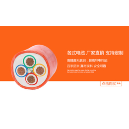 供应珠江东江电线电缆RVV电缆双护套软线阻燃铜芯缩略图