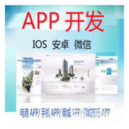 娄底软件设计公司APP制作微信平台开发缩略图