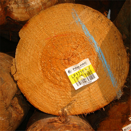 辐射松建筑木方专卖|辐射松建筑木方|山东木材加工厂(查看)