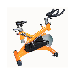 庄威健身器材品质保障、莱美动感单车公司、北京莱美动感单车