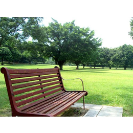 钢板实木公园休闲椅出售、莱芜公园休闲椅、荣耀教学(查看)