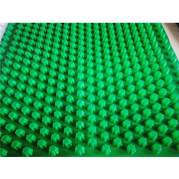 排水板-PVC排水板生产厂家-华翊建筑【质量好】(****商家)