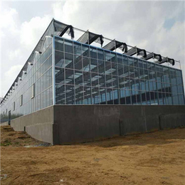 株洲玻璃温室造价·-长沙玻璃温室工程(在线咨询)-玻璃温室