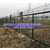 双边丝护栏网 果园圈地养殖铁丝网 绿色边框隔离防护网缩略图2
