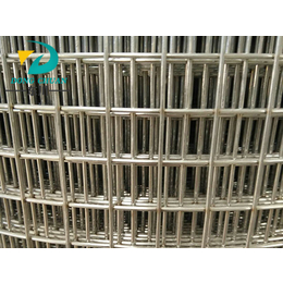 镀锌电焊网*|内蒙古镀锌电焊网|东川丝网(查看)