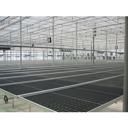 豪日丝网|温室苗床网|温室苗床网加工制造